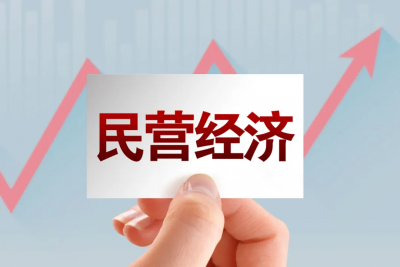 《中共中央、國務(wù)院關(guān)于促進(jìn)民營經(jīng)濟(jì)發(fā)展壯大的意見》